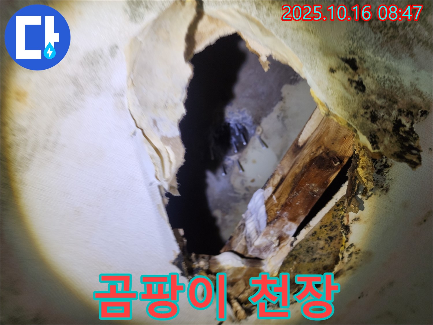 양주 누수 - 곰팡이 냄새와 내려앉은 천장 - 복합적인 누수 문제 발생, 전문적인 해결 필요