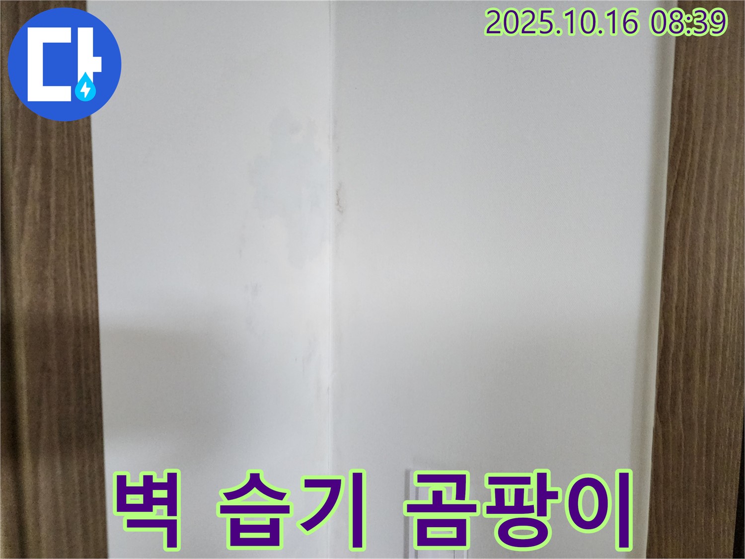 양주시 남면 경신리 주택 벽 모서리 습기 - 곰팡이 초대장, 누수 탐지 필요