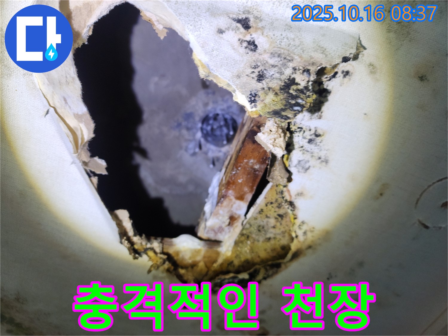 양주시 남면 경신리 주택 천장 - 곰팡이 천장 속 충격적인 모습 - 누수 문제의 심각성을 보여줍니다.