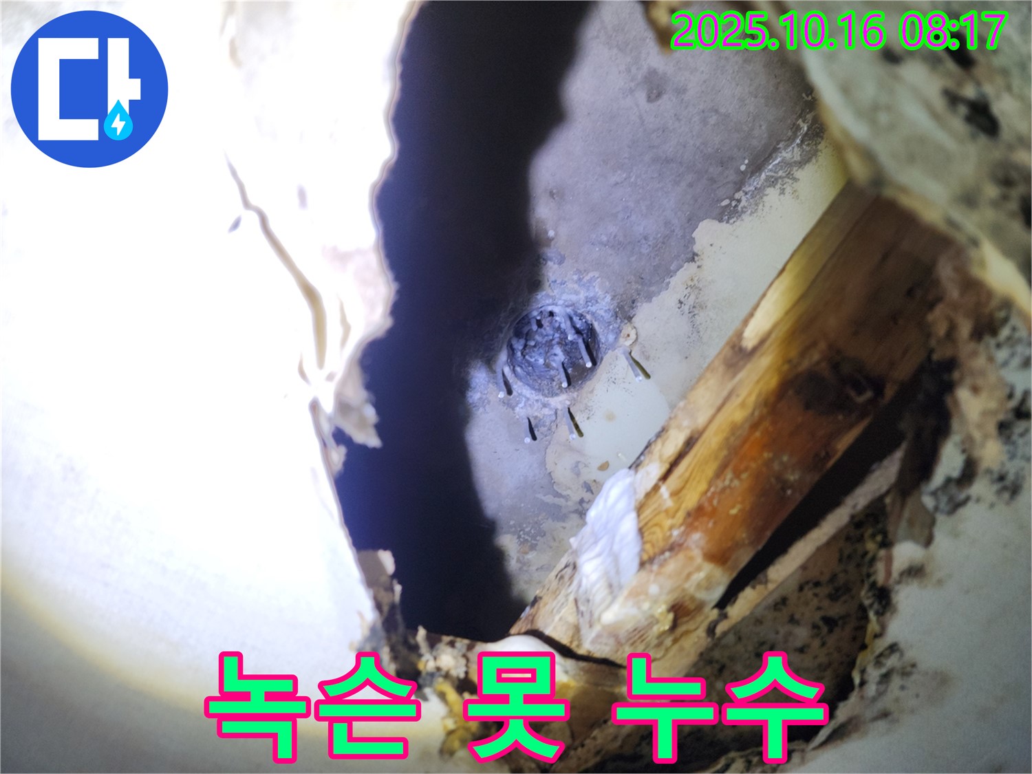 양주시 남면 경신리 천장 누수 - 녹슨 못 주변에서 누수가 발생하고 있습니다.