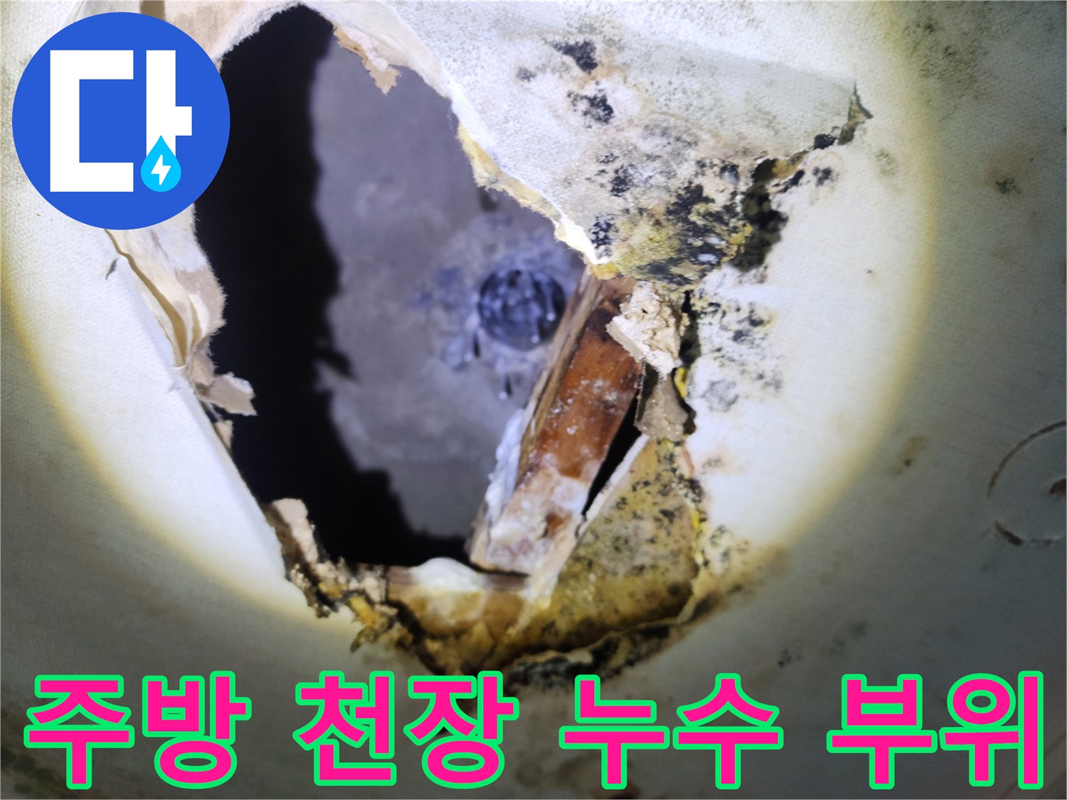 양주시 주방 천장 절개 후 확인한 배관 파손 및 곰팡이 상태