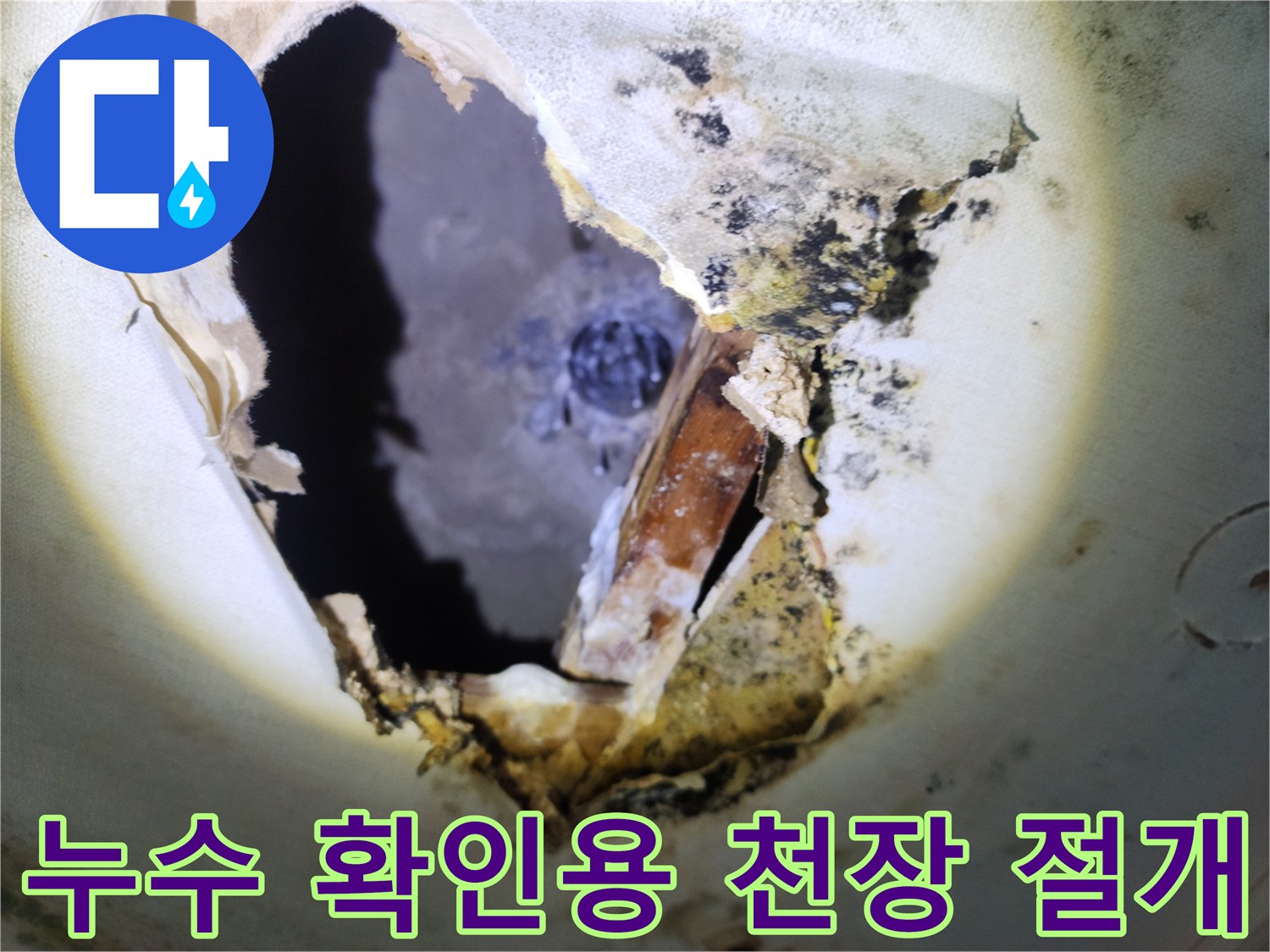 천장 내부의 젖은 배관 주변과 곰팡이가 발생한 마감재