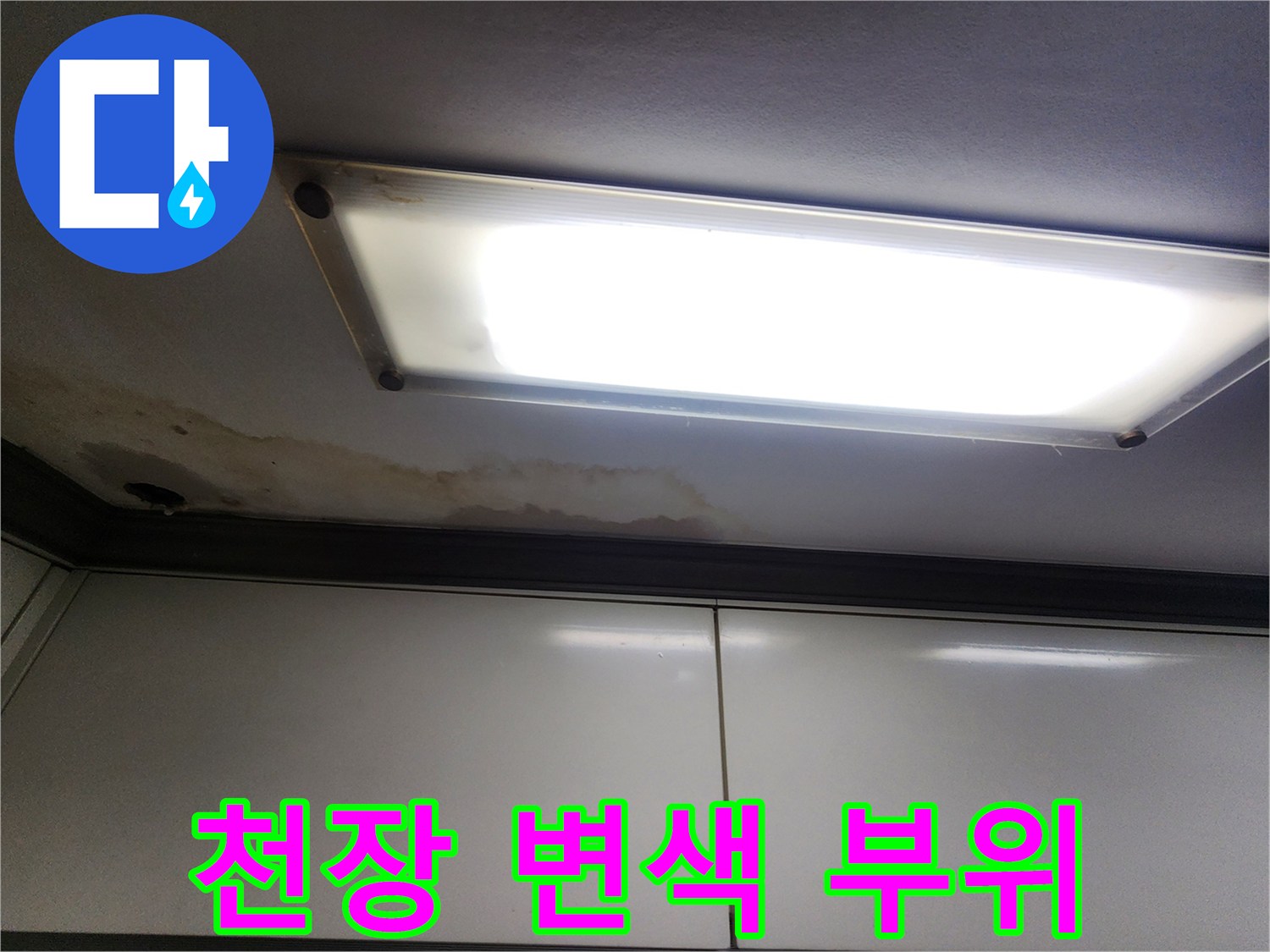 천장 조명 기구 주변의 젖은 얼룩과 변색된 마감재