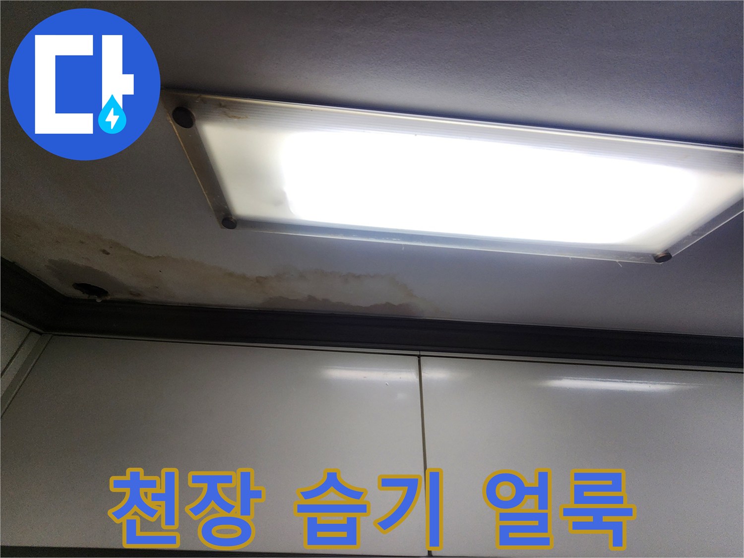천장 조명 주변의 젖은 마감재와 얼룩 부위