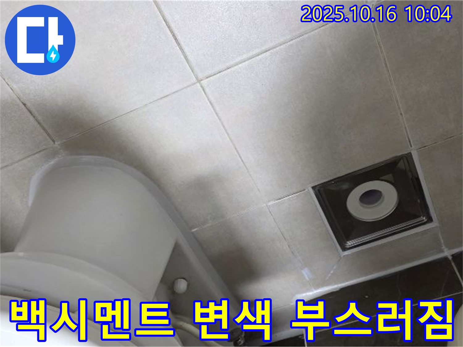옥정동 율정마을 화장실 누수 - 변기 주변 타일 틈새 백시멘트 변색 및 부스러짐 심각 누수
