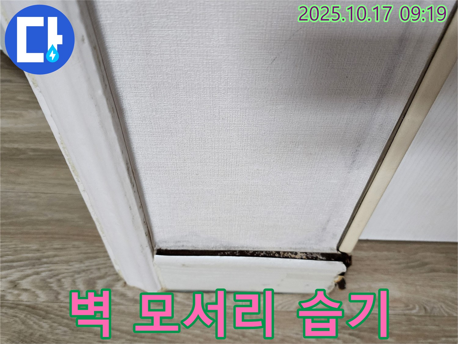벽 모서리 습기 문제 해결 - 누수 탐지와 곰팡이 제거를 통해 쾌적한 환경을 만듭니다.