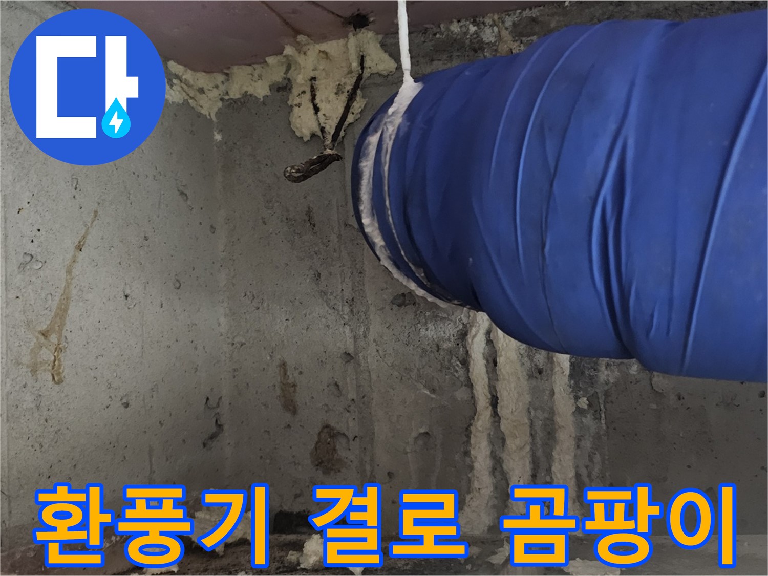 신월동 누수 - 환풍기 폼 충진으로 결로, 곰팡이 동시 해결