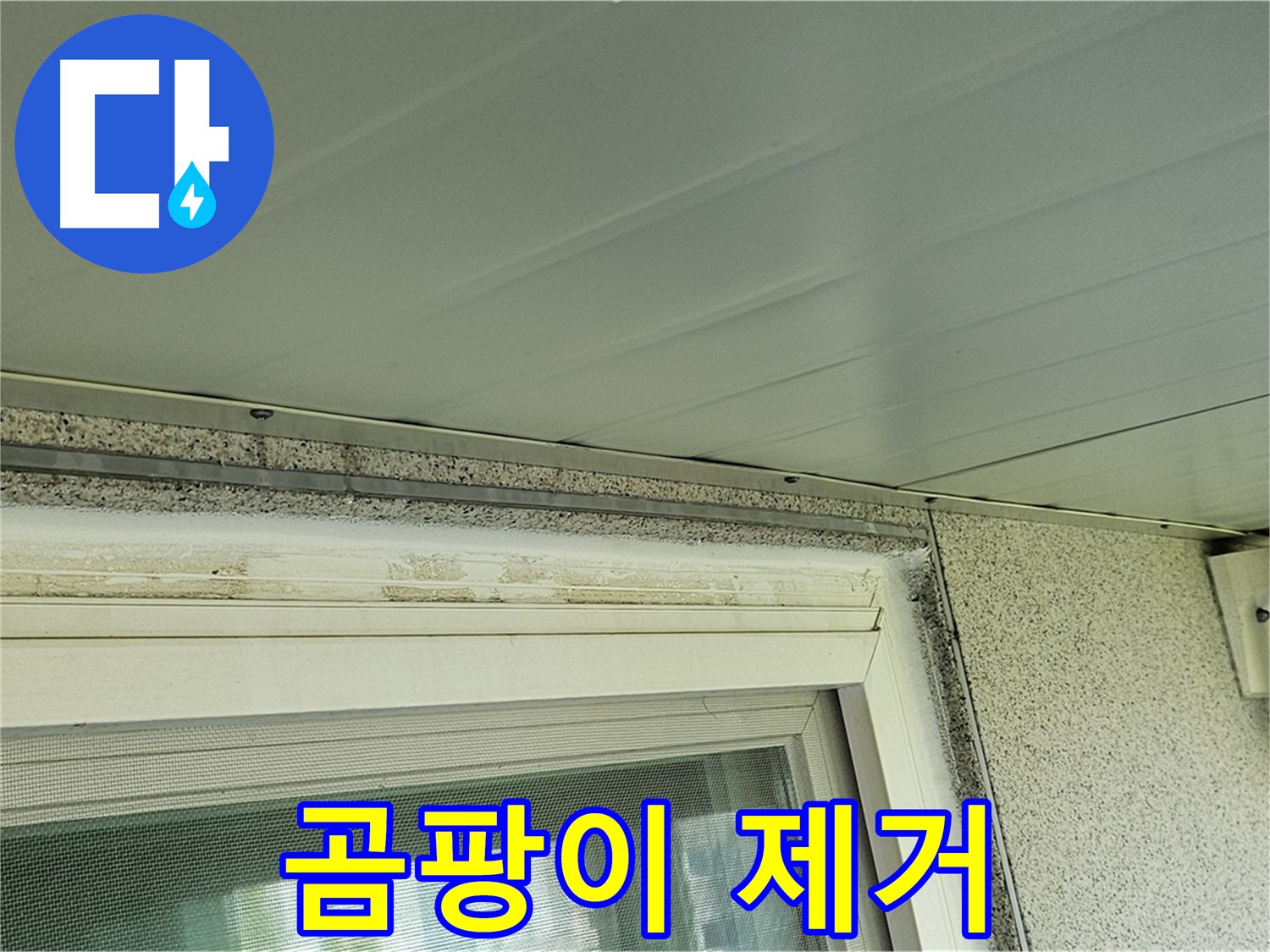 신월동 빗물 누수 현장에서 양천구 누수탐지 전문가가 창틀 곰팡이를 제거하는 모습입니다.