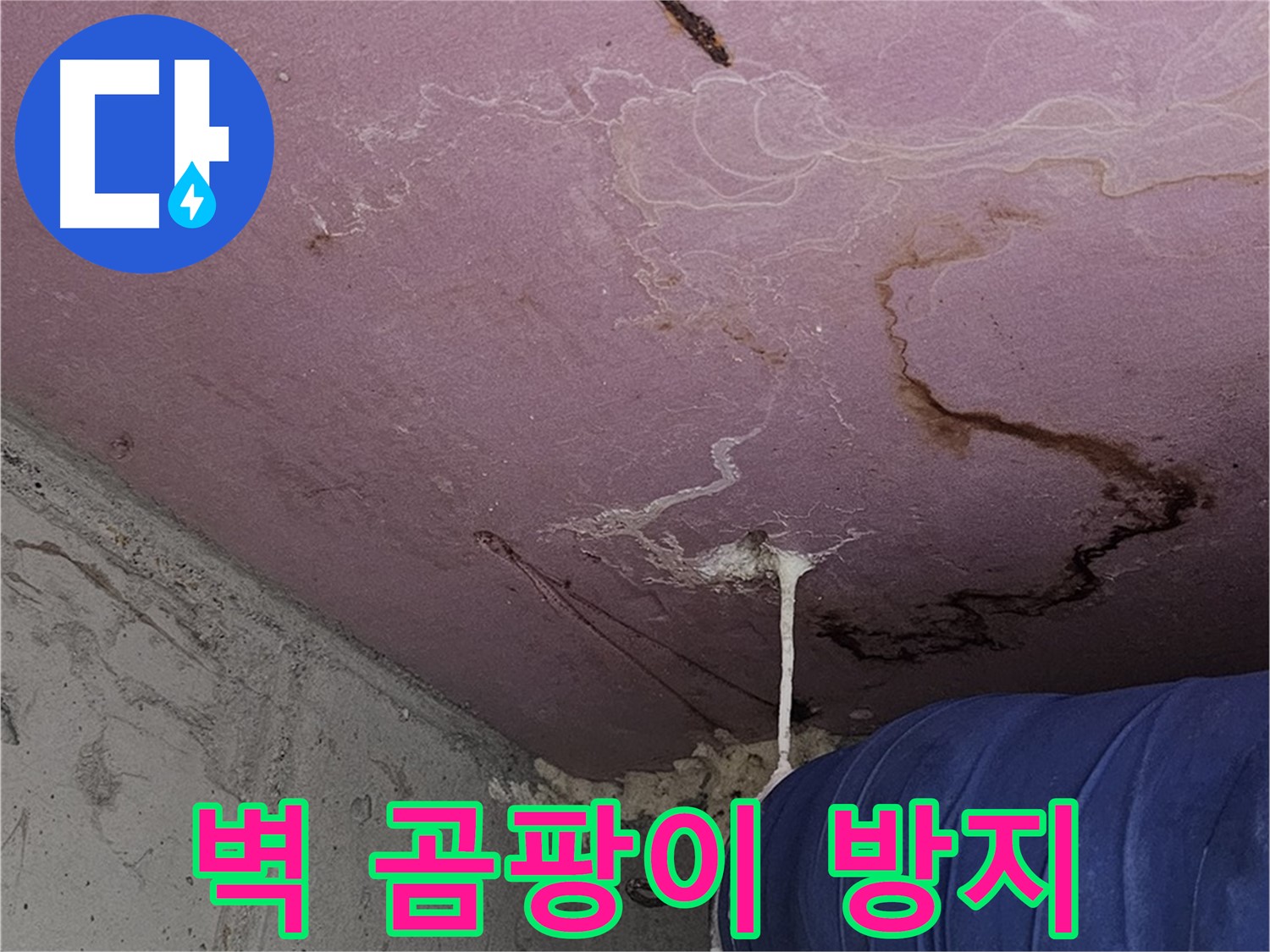 신월동 양천구 누수 - 벽 곰팡이 - 재발 방지 시공