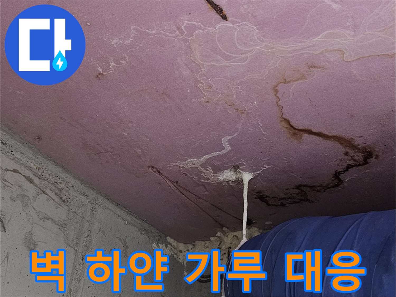 신월동 양천구 누수 - 벽 하얀 가루 - 석고보드 초기 대응