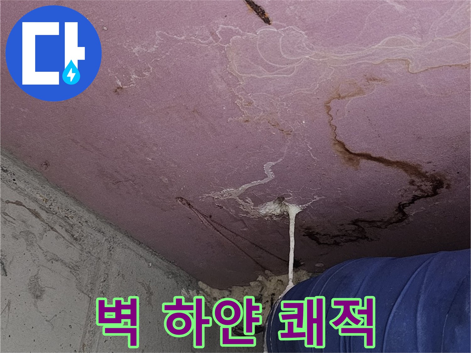 신월동 양천구 누수 - 벽 하얀 곰팡이 - 쾌적하고 안전한 공간