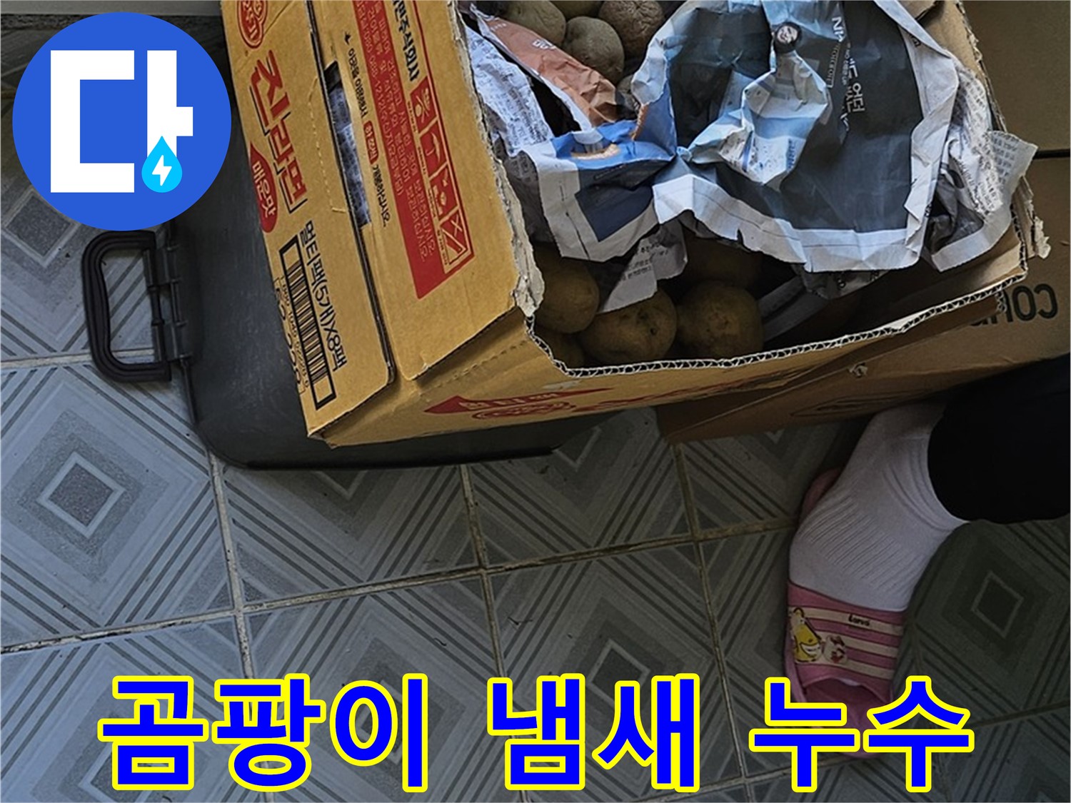 양천구 누수 현장 - 감자 박스 주변에서 곰팡이 냄새가 난다면 누수를 의심해야 합니다 - 쾌적한 환경을 위해 점검하세요.