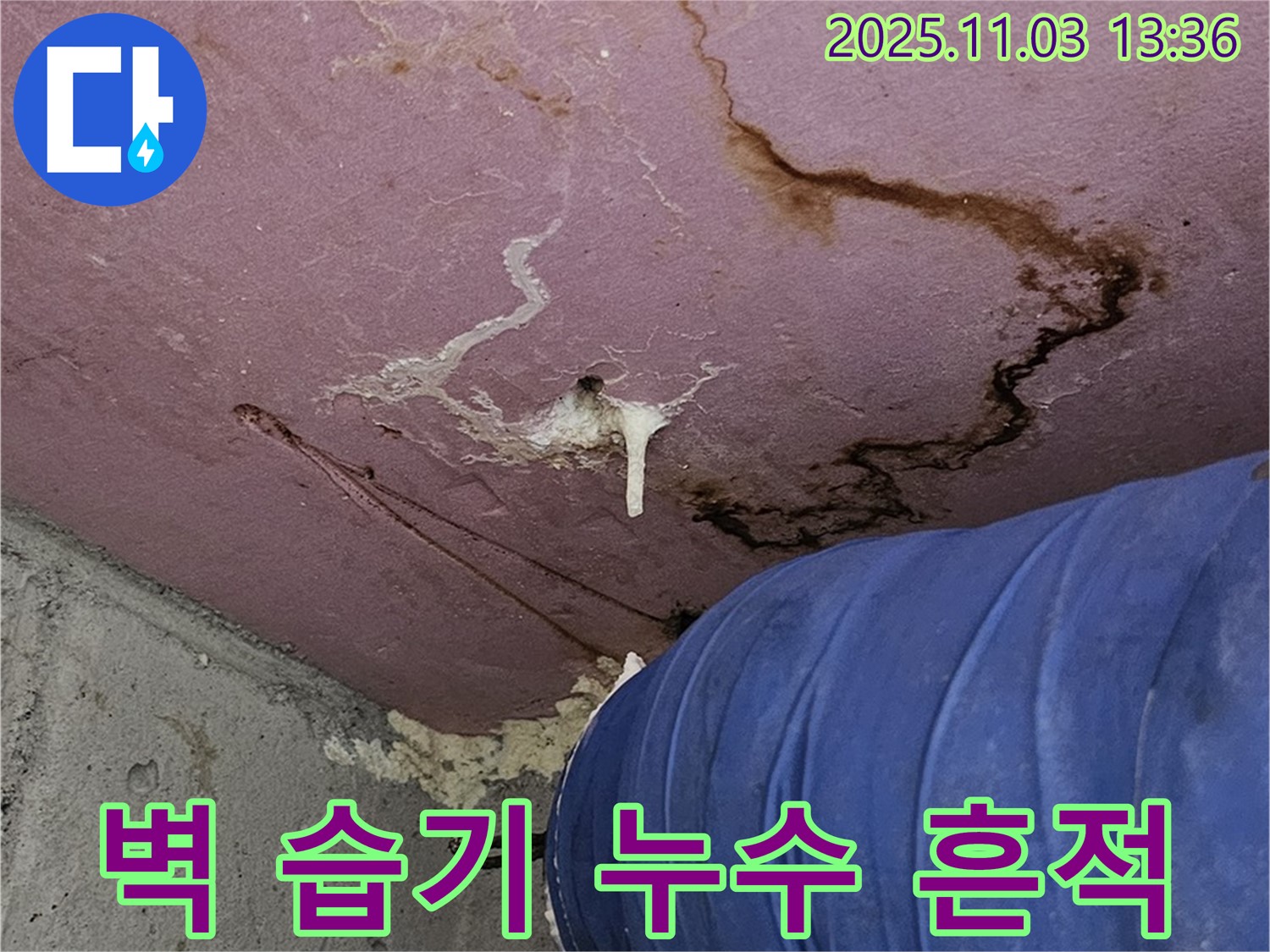 양천구 누수 현장 - 벽면 습기 문제와 누수 흔적, 전문적인 누수 진단 및 해결