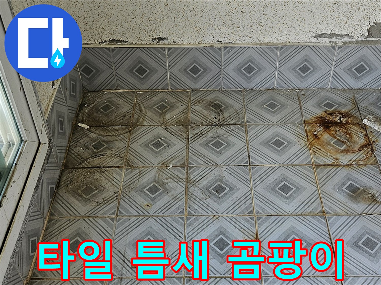 양천구 신월동 누수 - 타일 틈새 곰팡이로 인한 누수