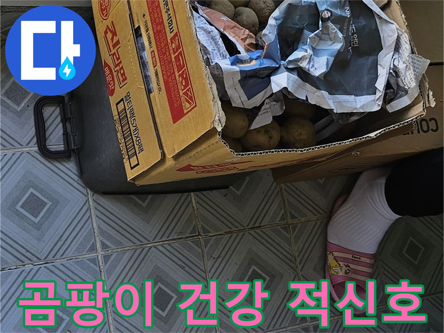 양천구 신월동 누수 현장 - 감자 박스 주변에 곰팡이가 피었다면 건강에 적신호가 켜진 것입니다 - 즉시 누수 점검을 받으세요.