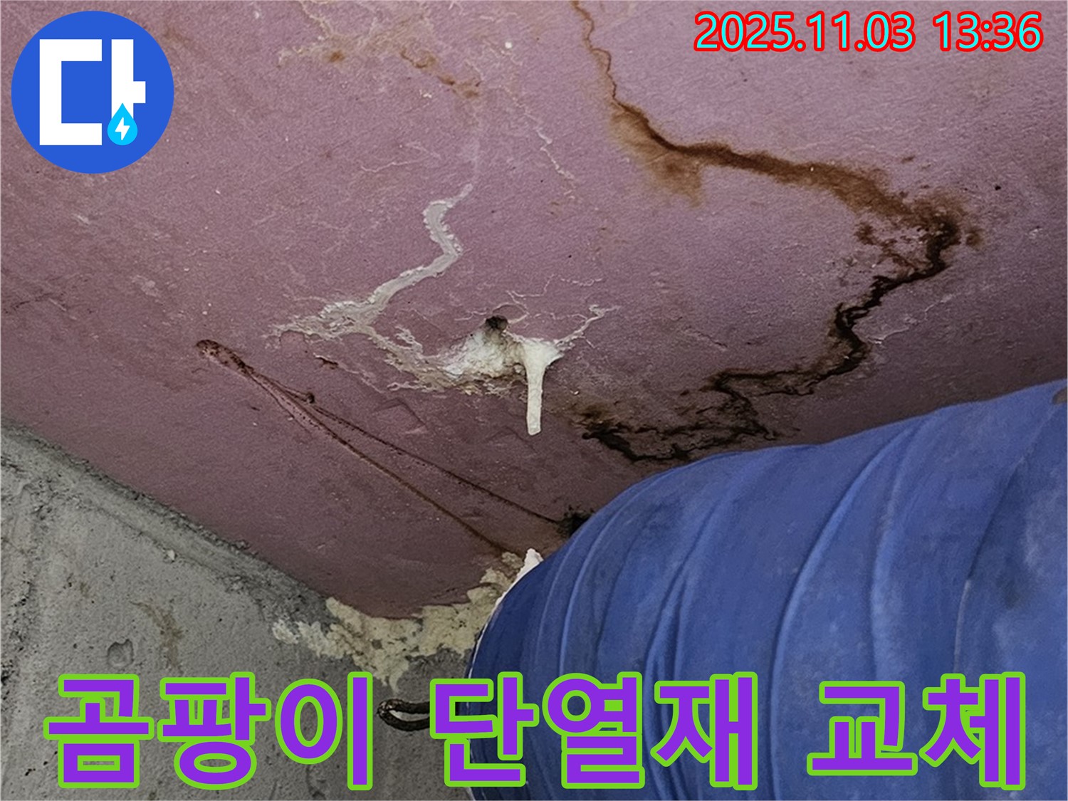 양천구 신월동 누수 현장 - 곰팡이 핀 단열재 교체 및 누수 원인 제거, 건강하고 쾌적한 환경 조성