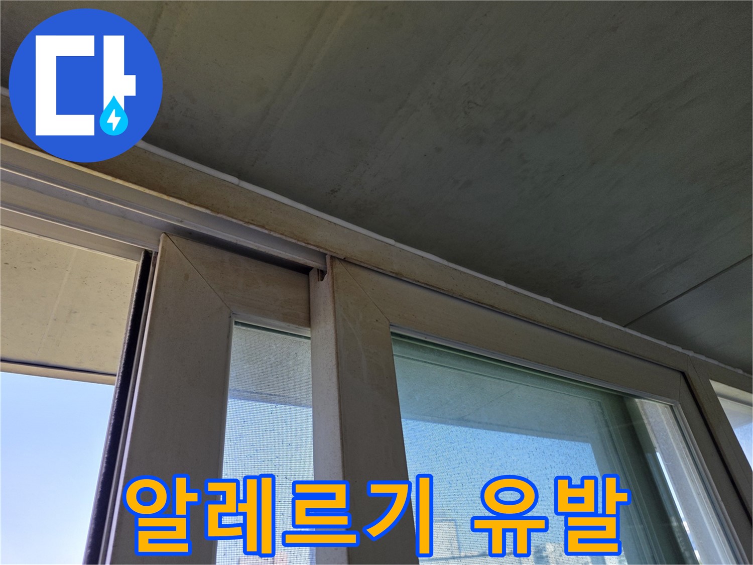 양천구 신월동 샷시 누수 - 곰팡이 알레르기 유발