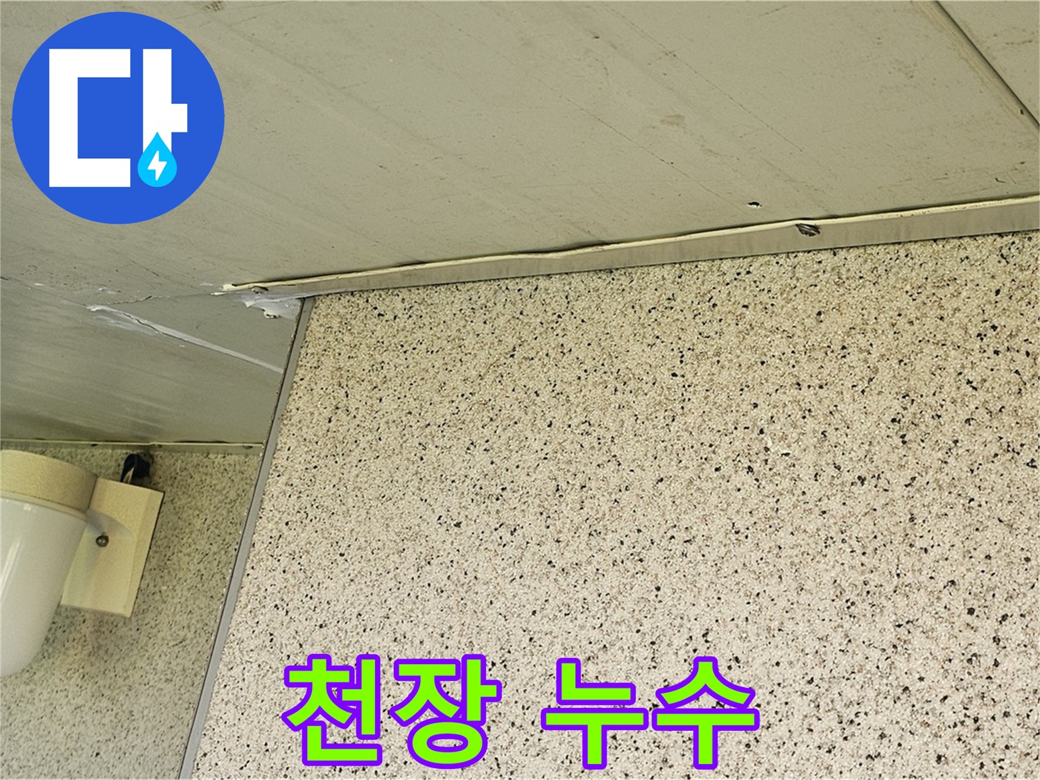 양천구 신월동 엘리시안 아파트 천장 누수 - 완벽한 누수 해결