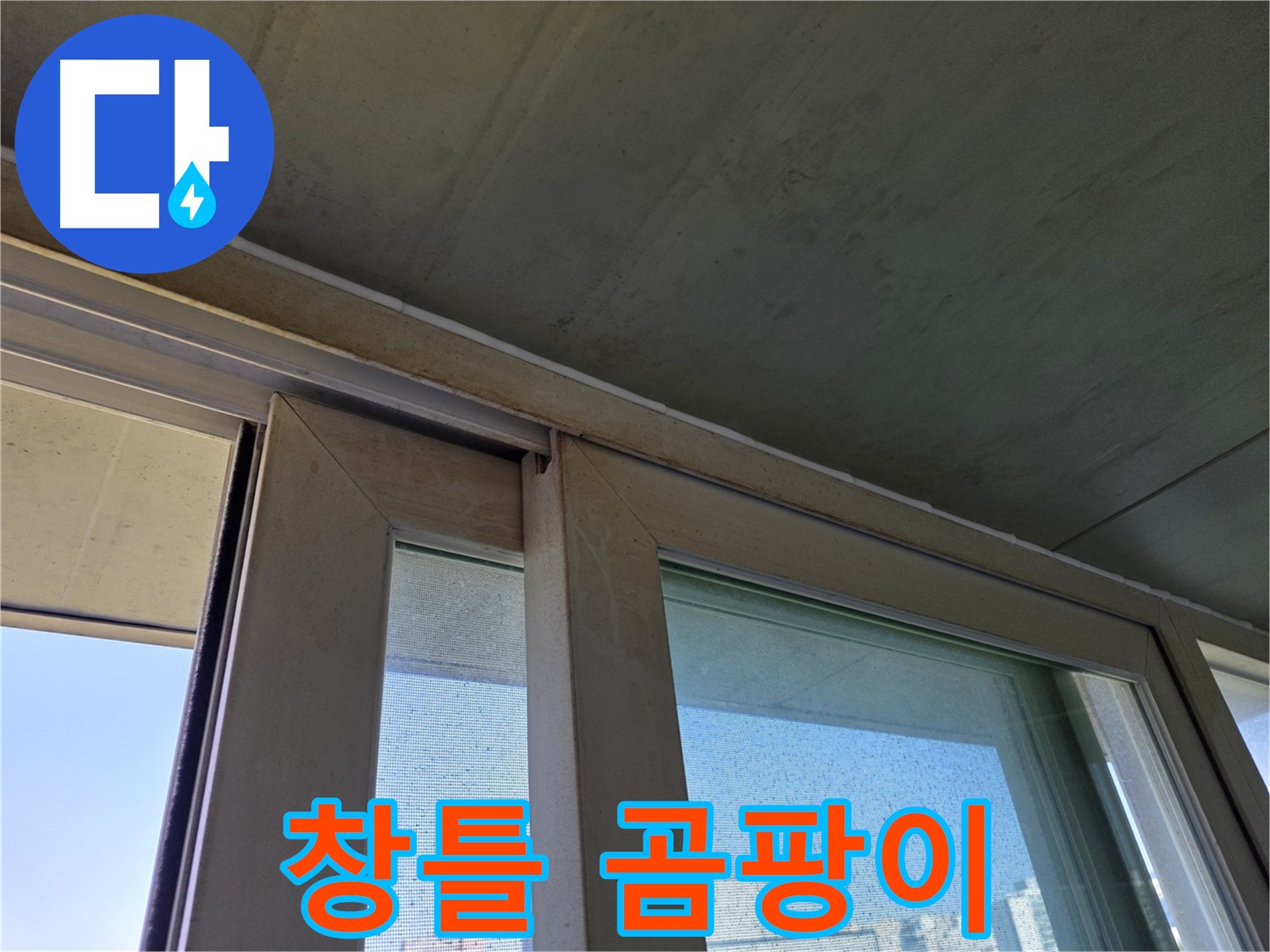 양천구 신월동 창틀 누수 - 곰팡이 발생 - 건강 적신호