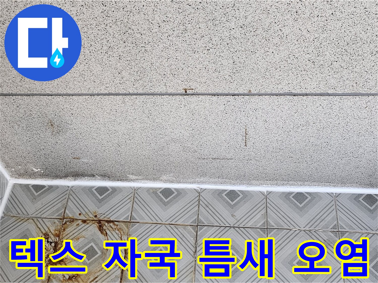 양천구 - 텍스 물 자국 - 타일 틈새 오염 - 건강 위협