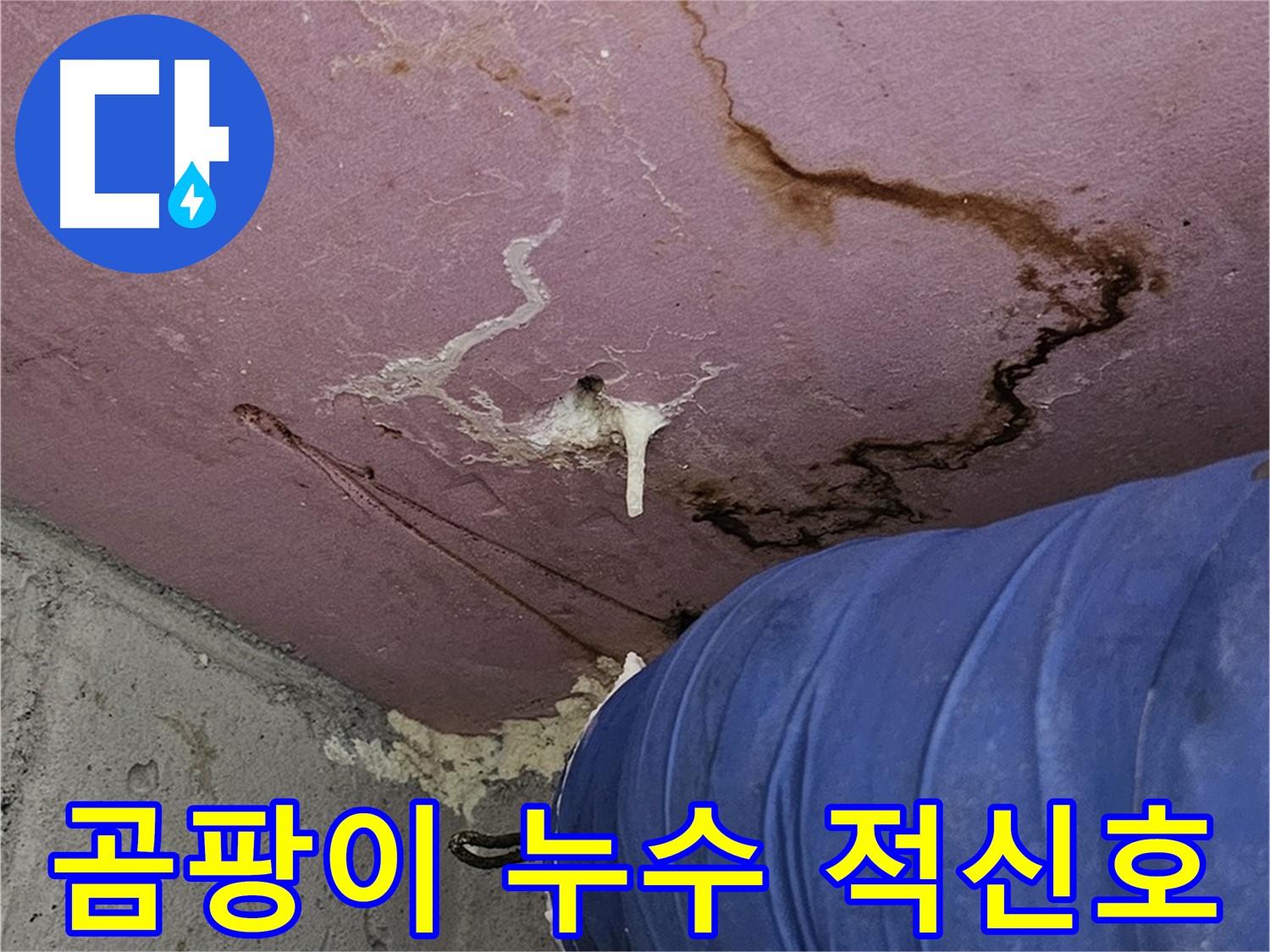 엘리시안 A동 곰팡이 - 누수 - 건강 적신호