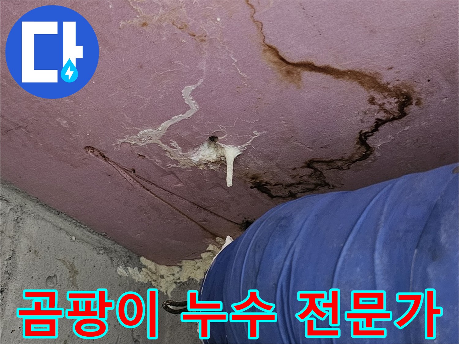 엘리시안 A동 곰팡이 - 누수 - 전문가에게