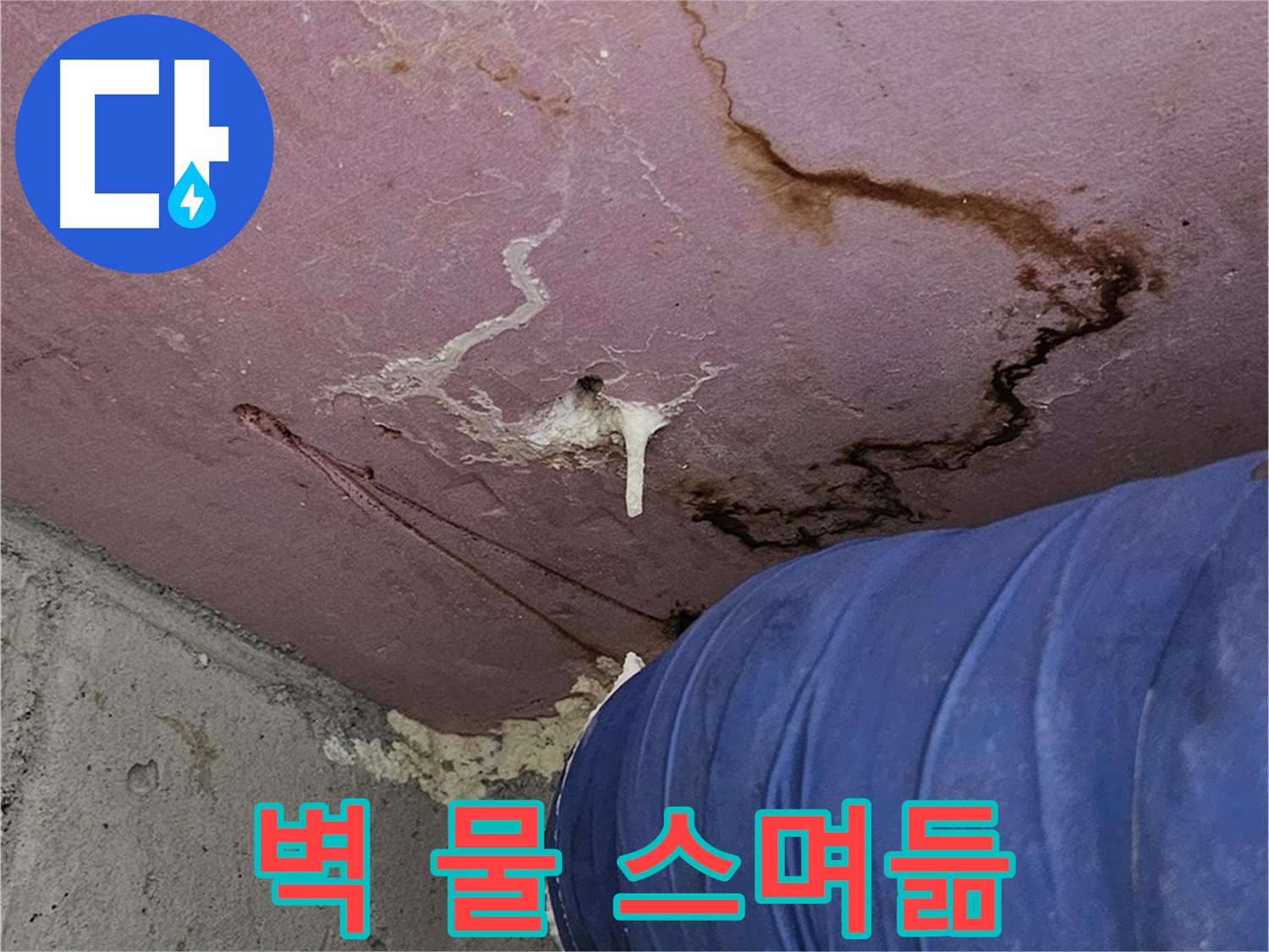엘리시안 A동 벽 물 스며듦 - 내부 손상 우려