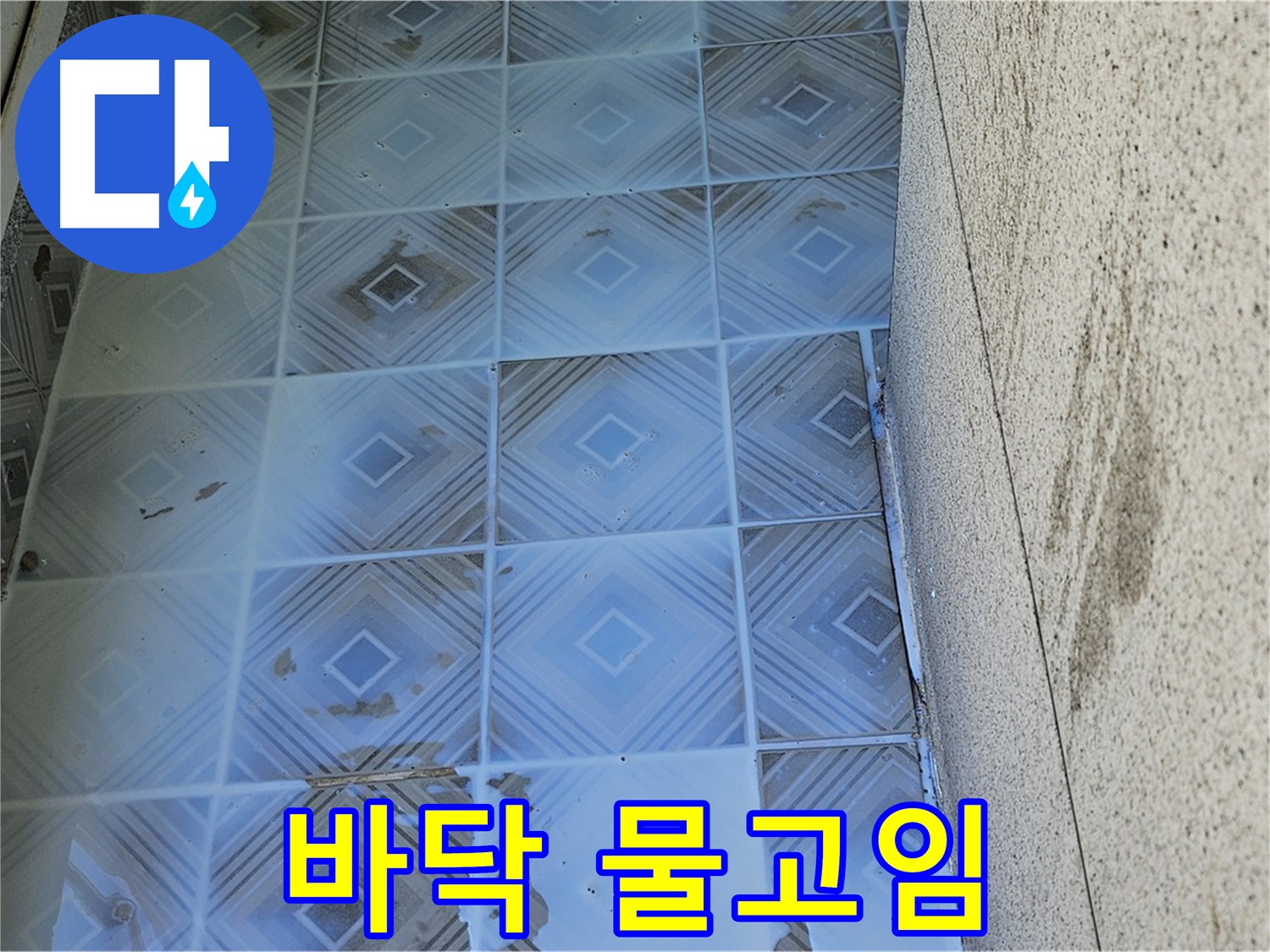 타일 바닥 누수 - 물 고임 현상 - 긴급 누수 점검