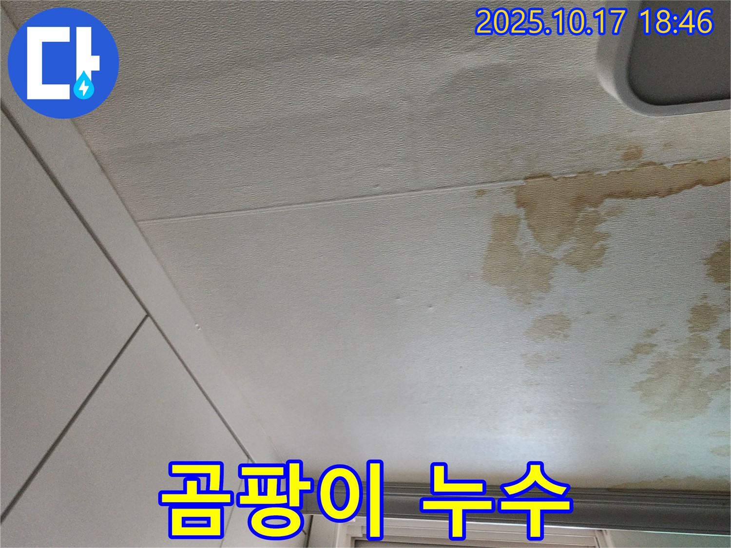 양주시 누수 - 곰팡이 핀 천장 누수 완벽 해결