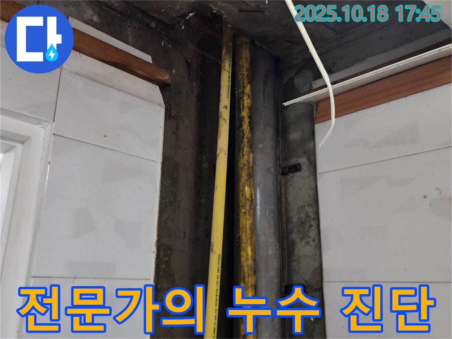 양주시 장흥면에서 누수 문제를 해결하기 위해 전문가가 꼼꼼하게 누수 진단을 진행하고 있습니다.