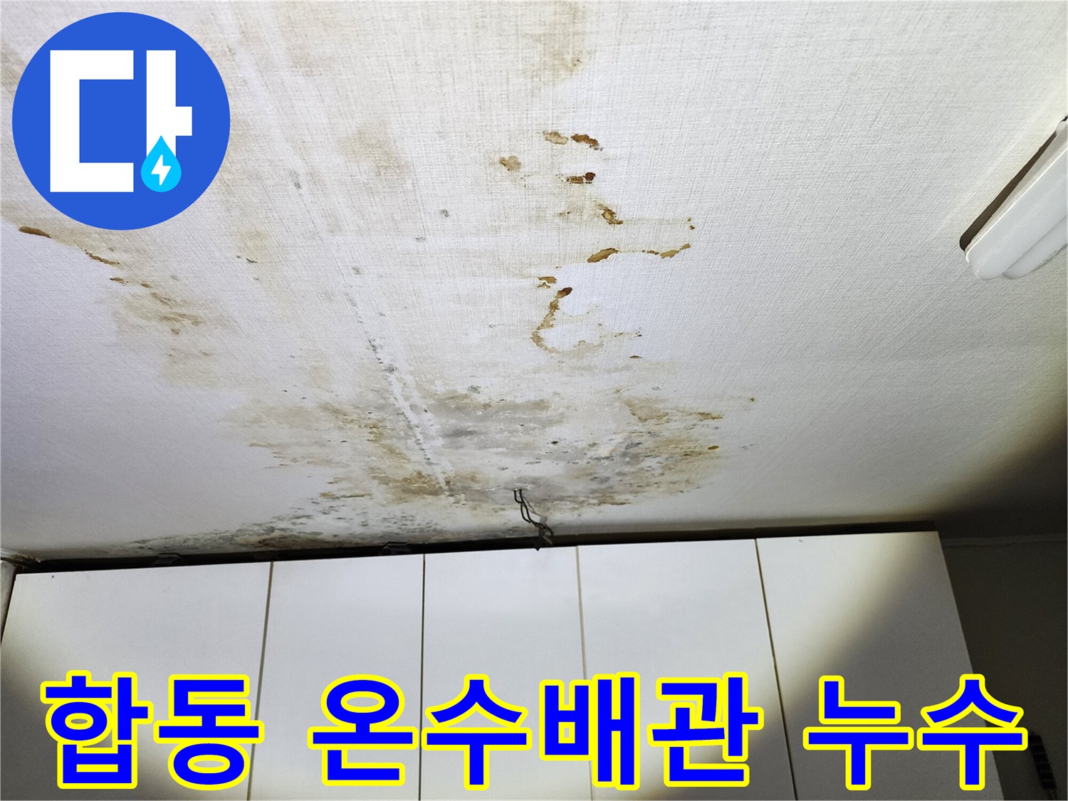 합동 온수배관 누수 - 아랫집 천장 누수 및 가스탐지