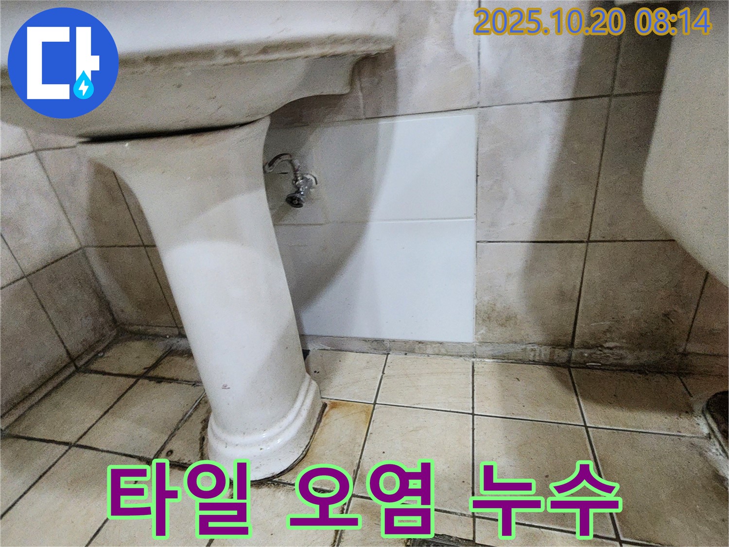 양주시 장흥면 석현리 세면대 벽면 타일 틈새 오염 - 곰팡이 가득한 타일 틈새, 누수의 흔적일 수 있습니다.