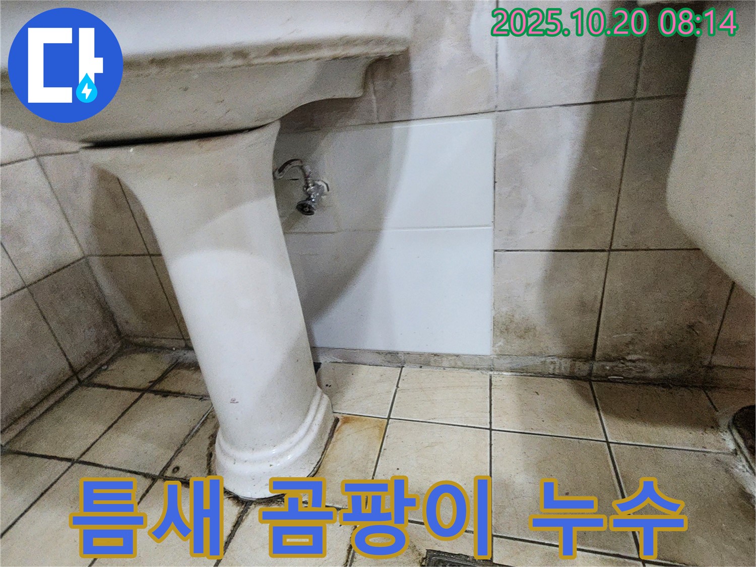 양주시 장흥면 석현리 세면대 하부 틈새 곰팡이 - 틈새 곰팡이, 누수의 신호일 수 있습니다.