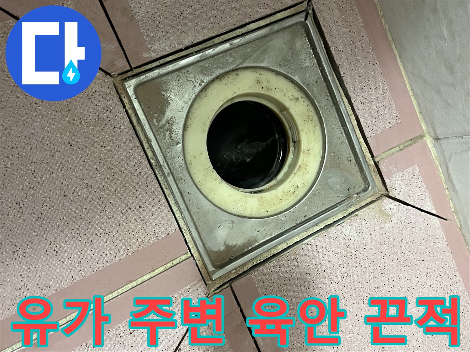 금천구 독산동 형제빌 유가 주변 육안 및 끈적임 점검 - 종합 누수 진단