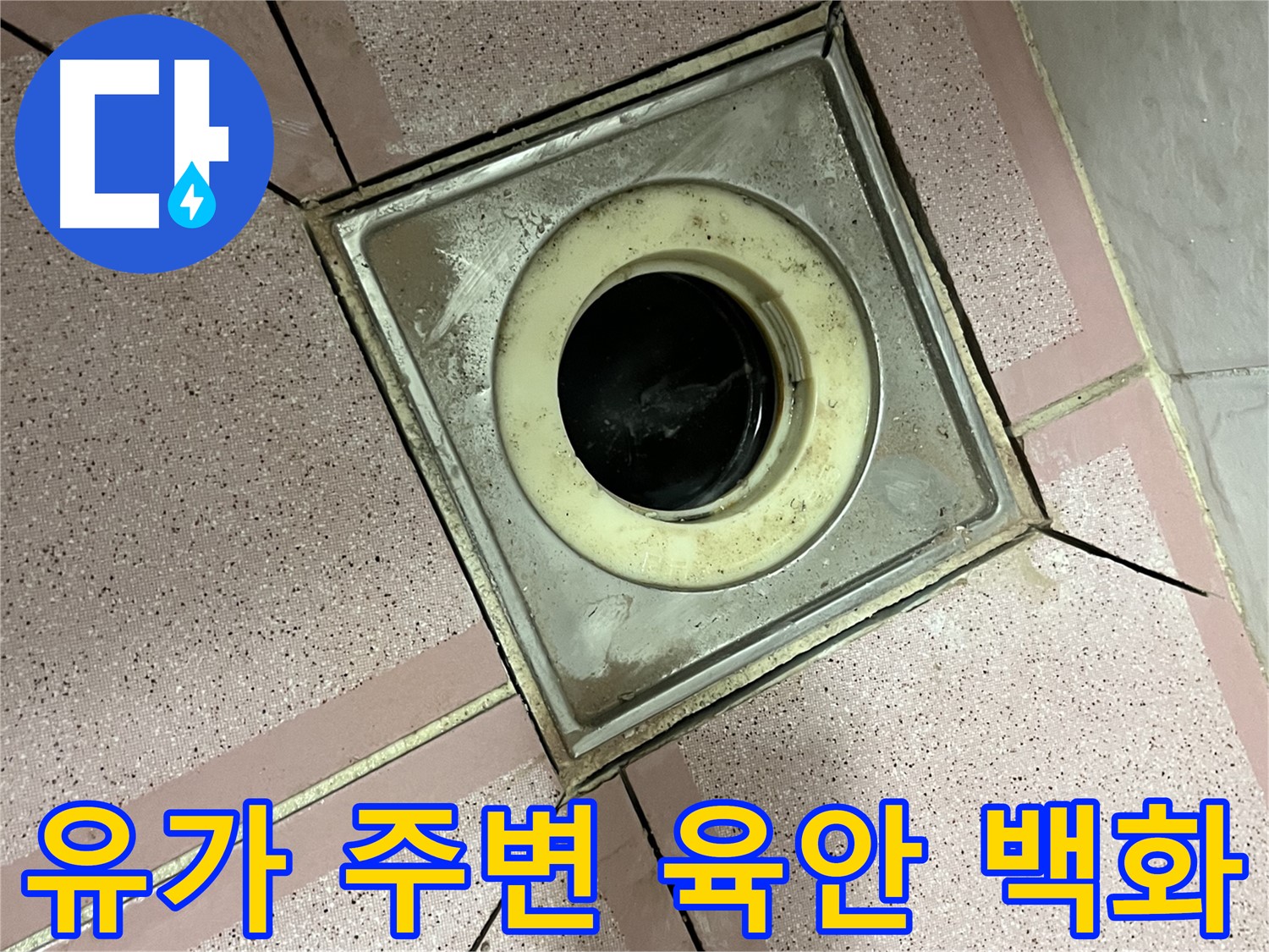 금천구 독산동 형제빌 유가 주변 육안 및 백화 상태 점검 - 종합 누수 진단