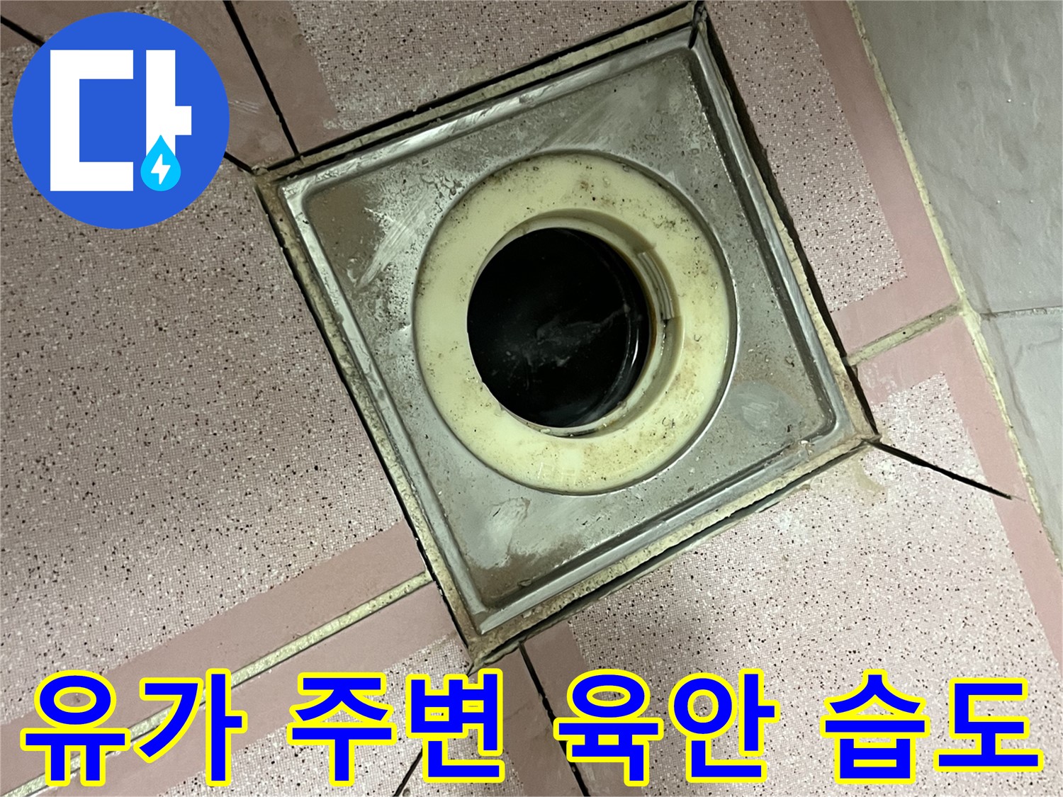 금천구 독산동 형제빌 유가 주변 육안 및 습도 점검 실시 - 종합 누수 진단