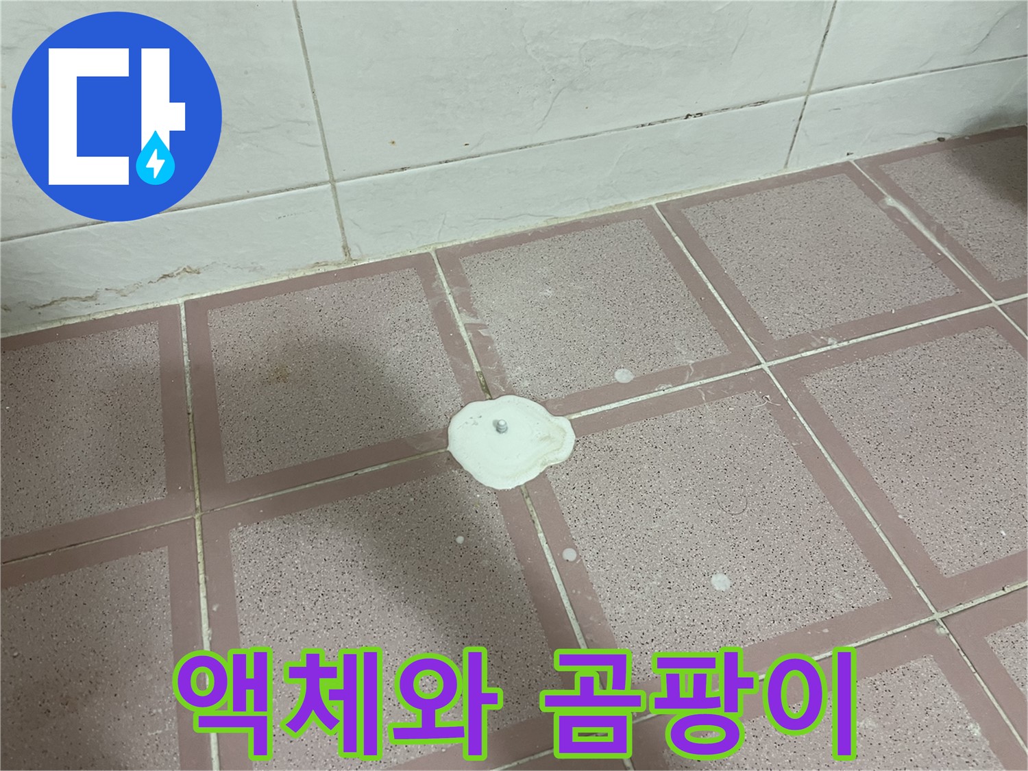 금천구 형제맨션빌 누수 - 백시멘트 위 액체와 곰팡이