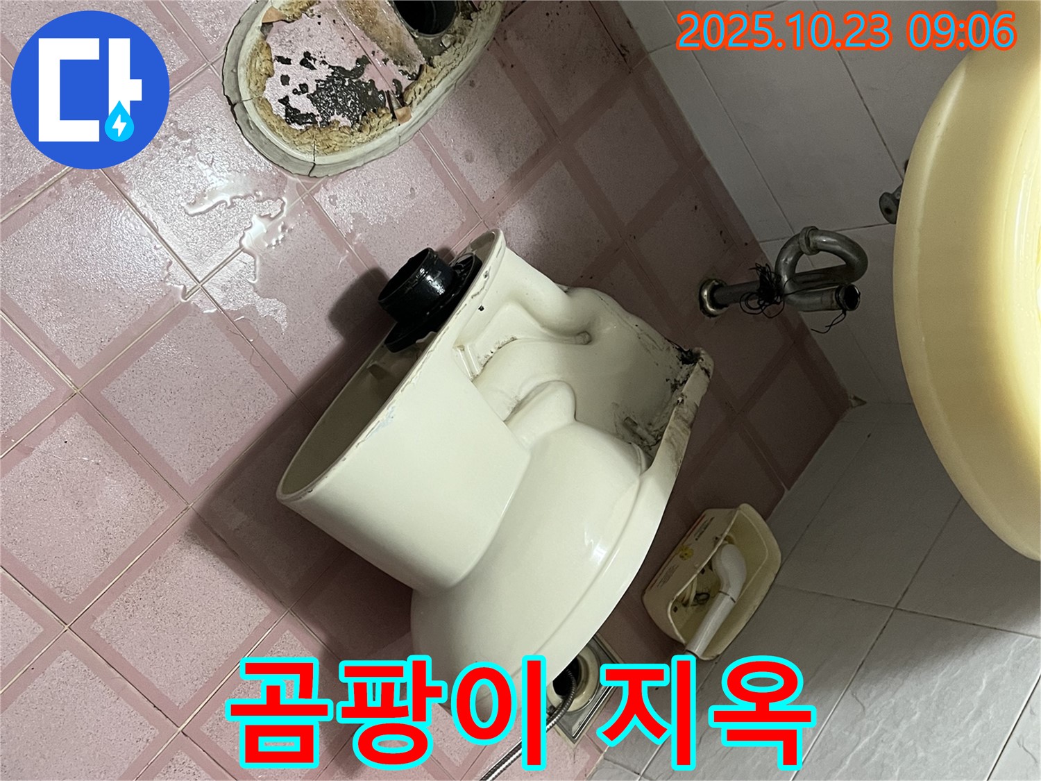 독산동 형제맨션빌 - 곰팡이 지옥, 청소 전문가 출동!