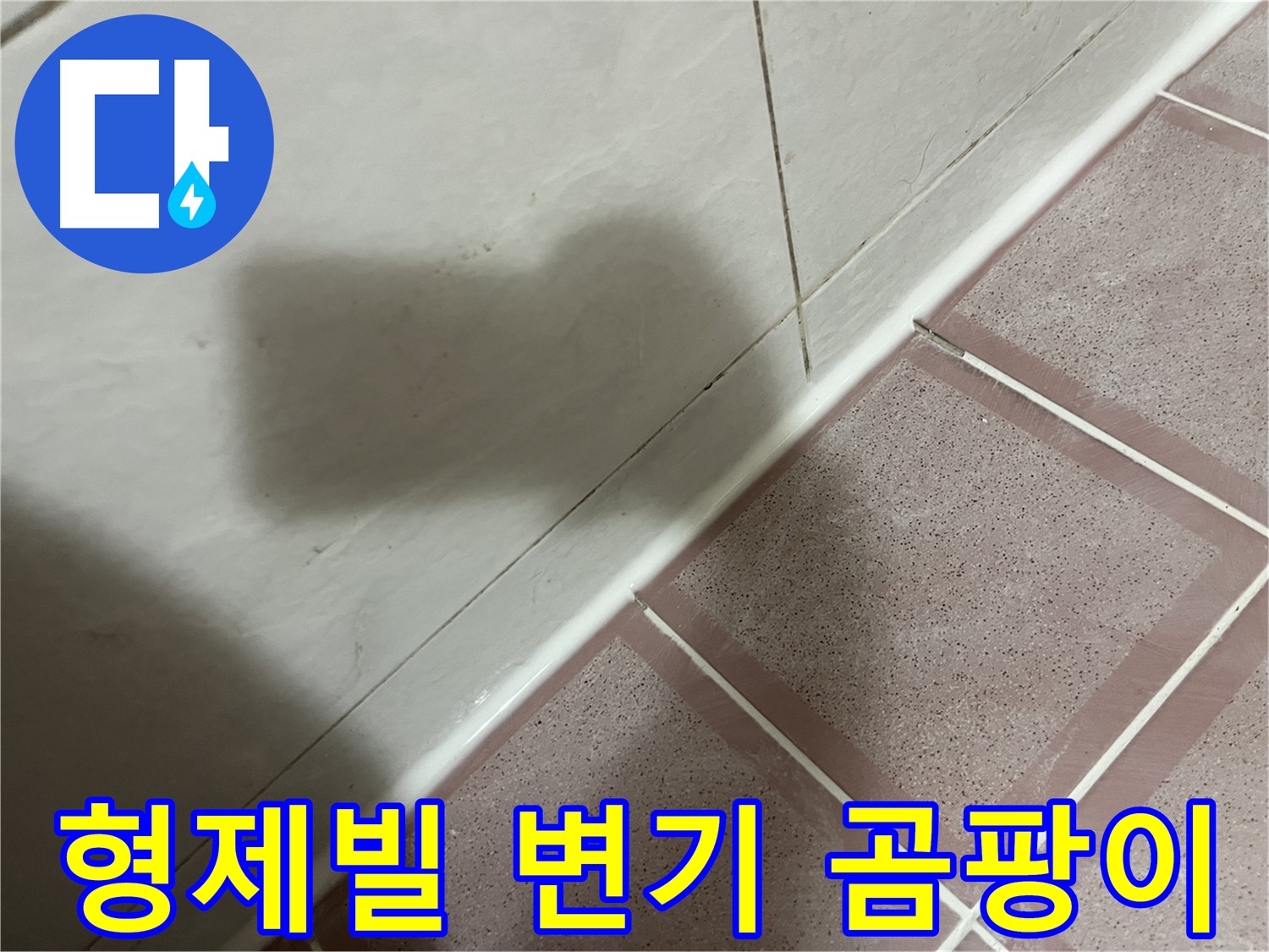 독산동 형제빌 변기 실리콘 누수 - 교체로 곰팡이 걱정까지 싹!