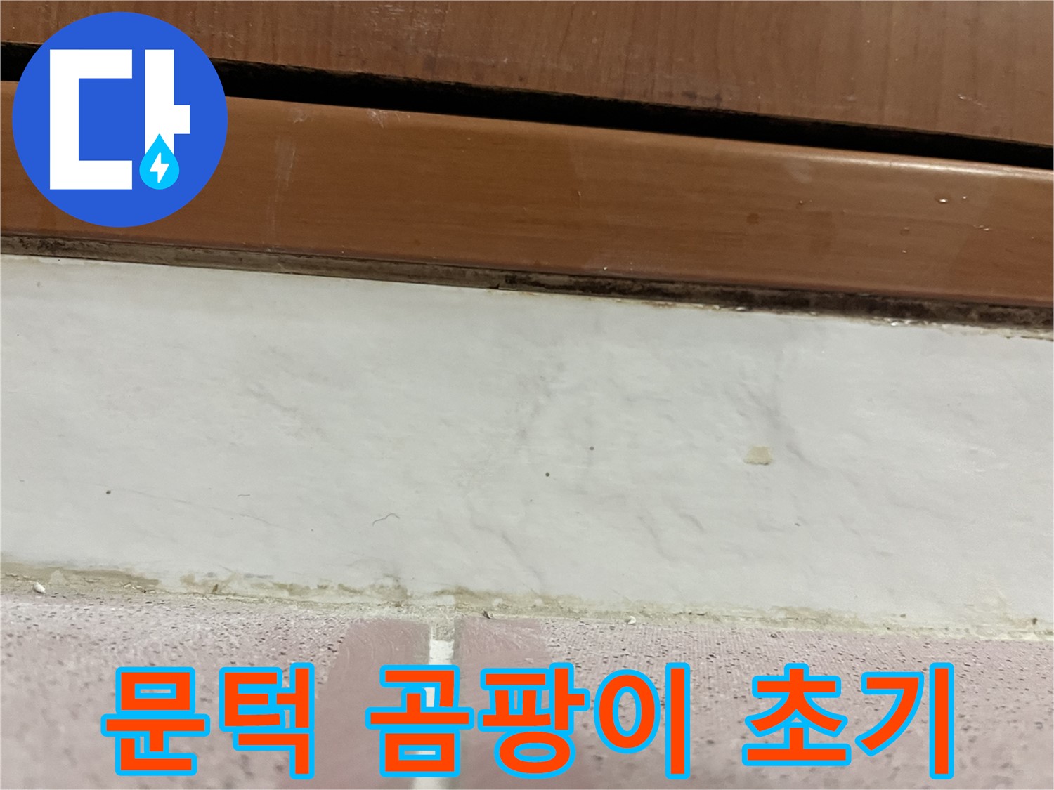 형제맨션빌 누수 - 문턱 아래 타일 틈새 곰팡이와 물때 초기