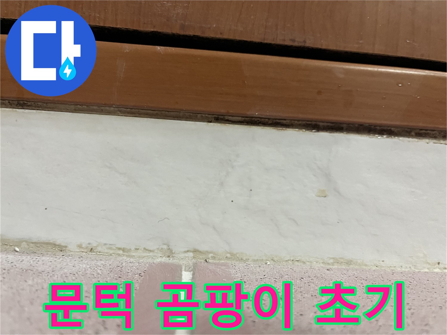 형제맨션빌 누수 - 문턱 아래 타일 틈새 곰팡이와 습기 초기 증상