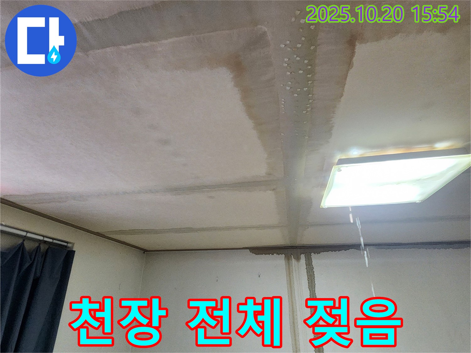 양주시 부곡리 천장 전체 젖음 - 심각한 누수, 빠른 복구