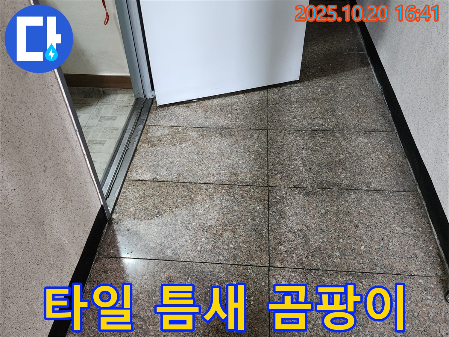 타일 틈새에 곰팡이가 핀 사진 - 양주시 장흥면 부곡리 누수 현장입니다.