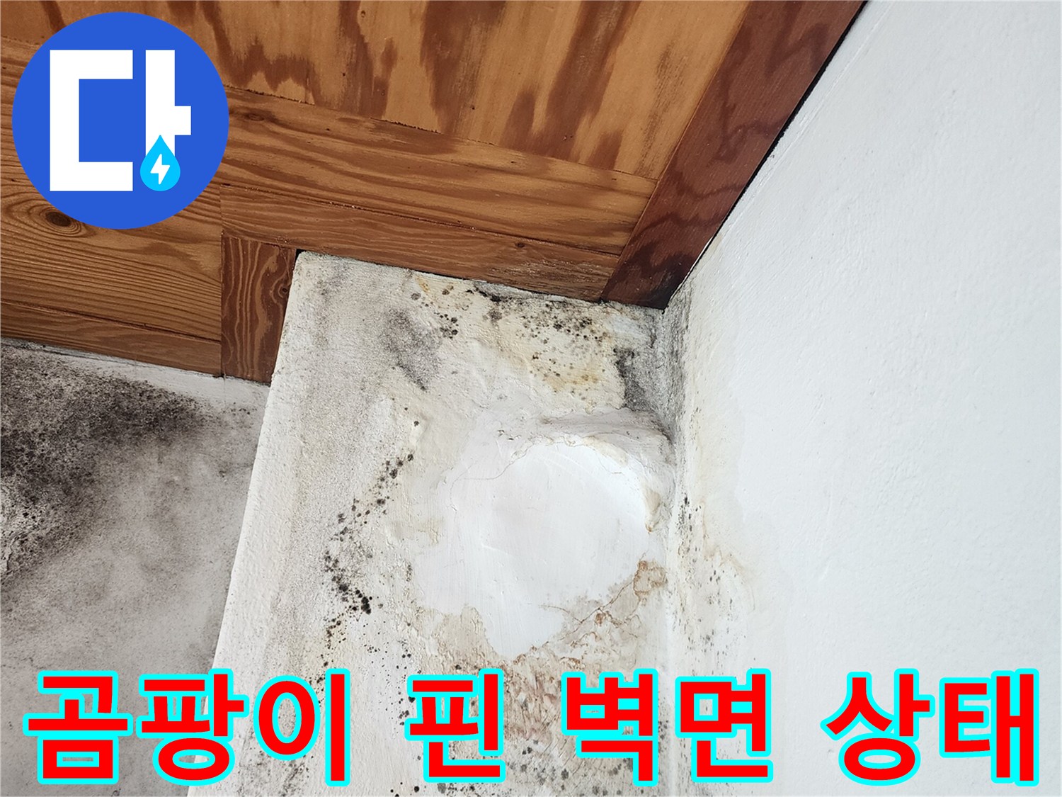 검은-곰팡이가-심하게-발생한-보일러실-벽면-클로즈업