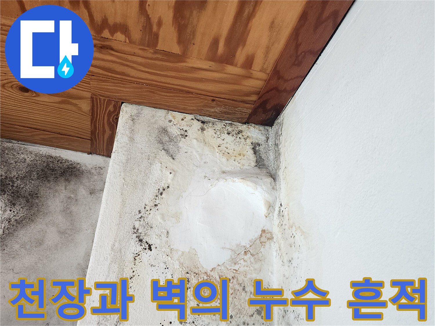 보일러실 상단-천장 목재와 벽면의 곰팡이 오염 부위