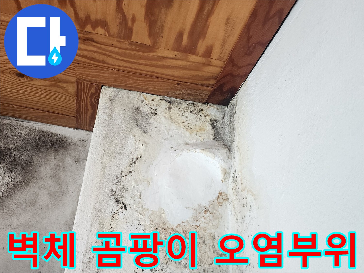 오염된-벽면과-젖은-천장-나무-판재의-접합부