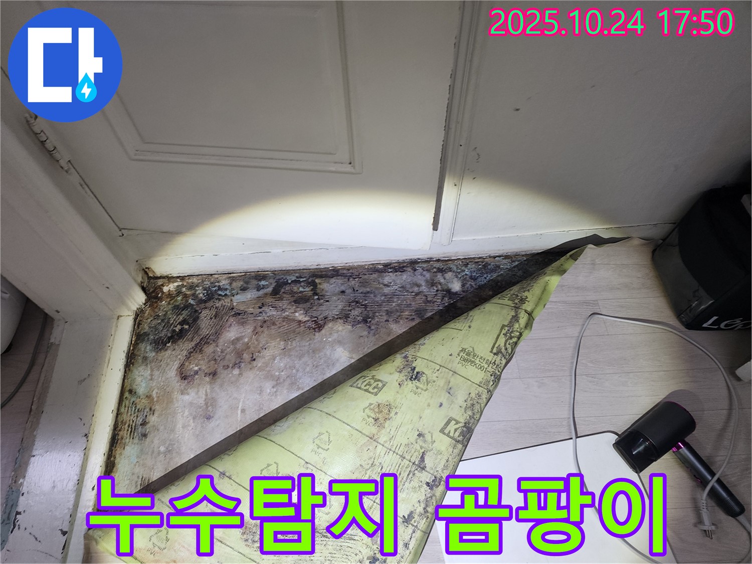 서초 누수탐지 전문 - 양재동 화장실 누수와 곰팡이 문제 해결 사례
