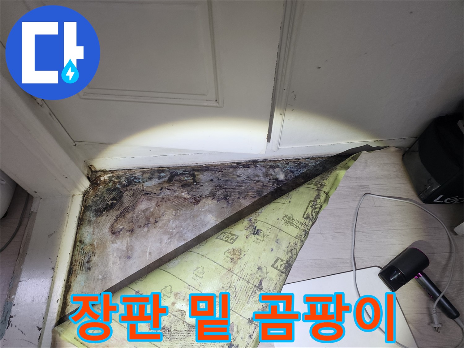 서초구 양재동 현대빌라 누수 - 장판 밑 곰팡이의 심각한 번식
