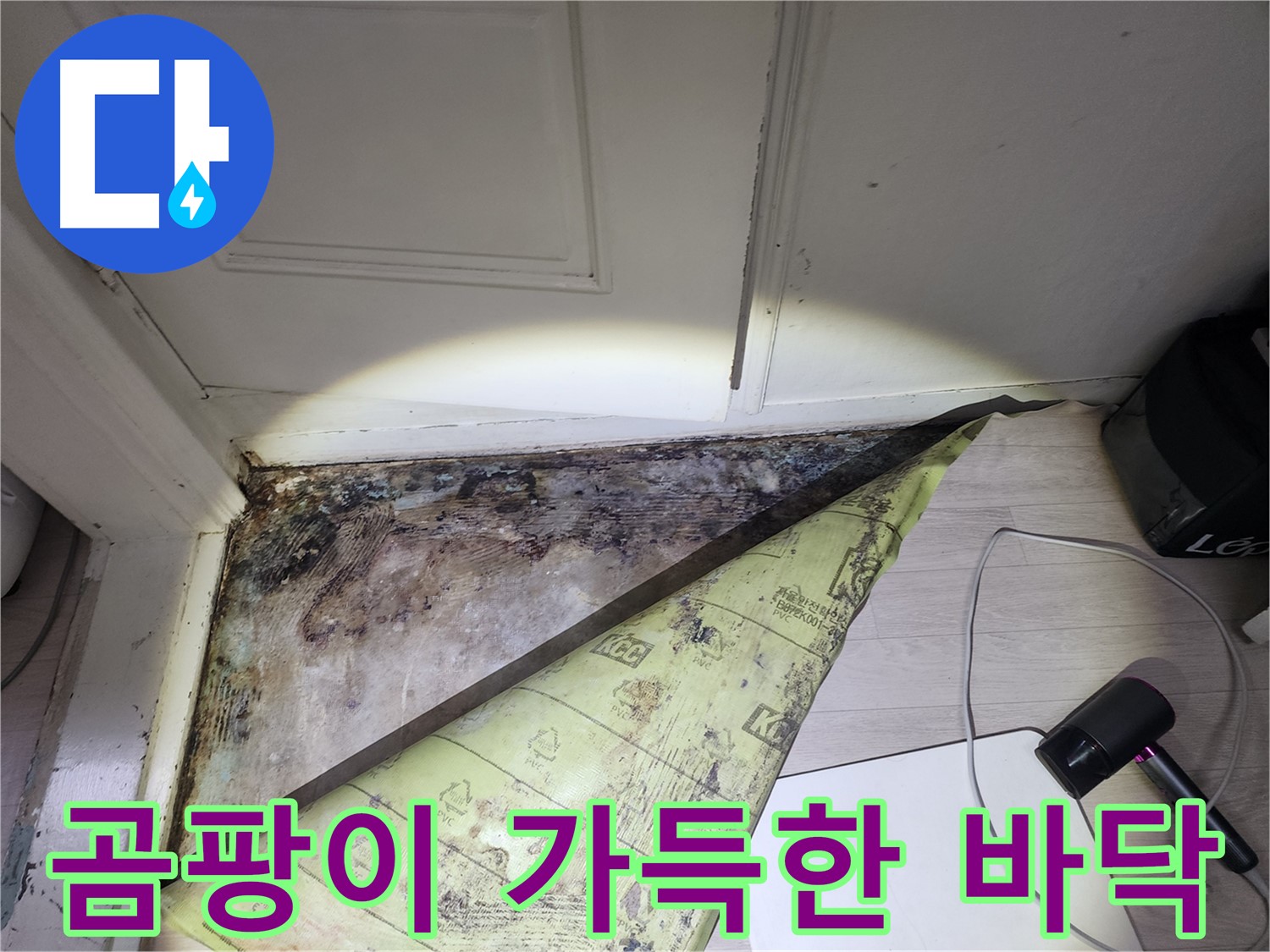 양재동 현대빌라 누수 - 곰팡이로 뒤덮인 바닥 상태