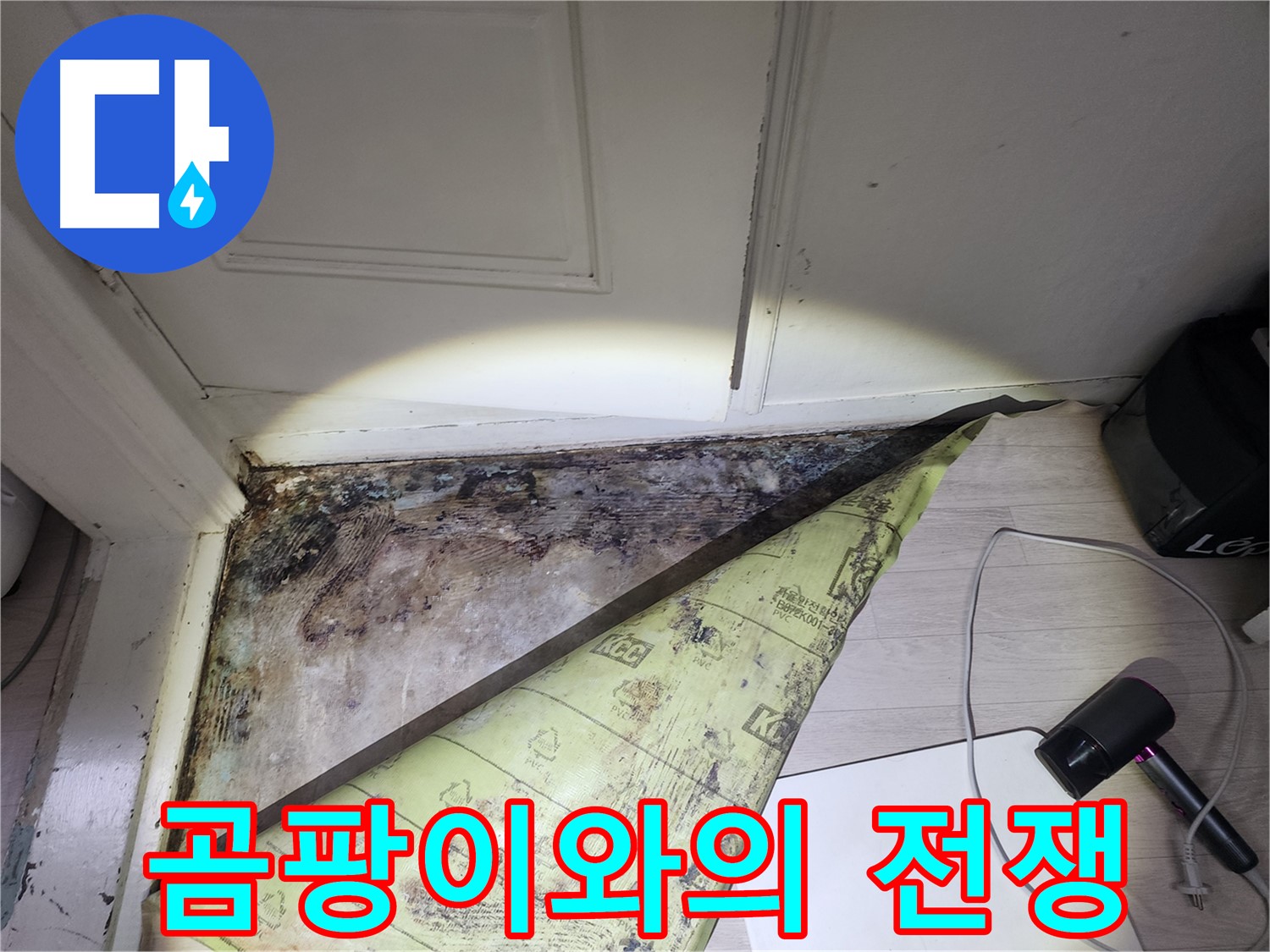 양재동 현대빌라 누수 - 곰팡이와의 전쟁, 완벽 승리